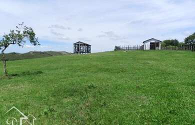 Imagem 11: Santana da Boa Vista - Fazenda - Zona rural