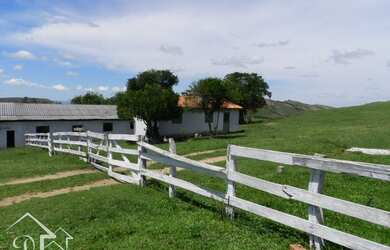 Imagem 4: Santana da Boa Vista - Fazenda - Zona rural