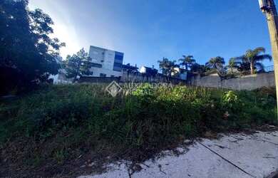 Imagem 3: CAXIAS DO SUL - Terreno Padrão - Altos do Seminário