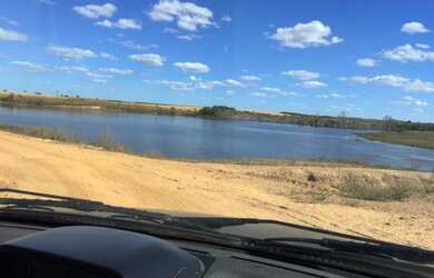 Imagem 5: Fazenda em Divinopolis. Lavoura