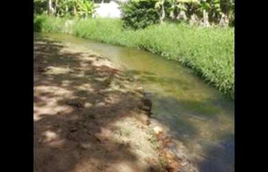 Imagem: A fazenda possui 3.000m² de Área e está localizado em Rio