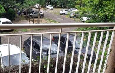 Imagem 4: Apartamento para venda ou locação na Avenida Caramuru