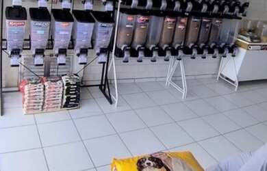 Imagem 10: Venda pet shop em São Paulo