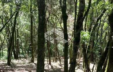 Imagem 3: Terreno com 2556m² Linha 40 no Bairro Nossa Senhora da Saúde em Caxias...