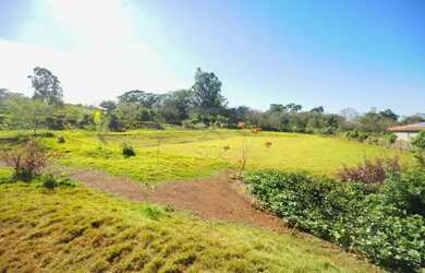 Imagem 9: Chácara à venda, Aparecidinha - Foz do Iguaçu/PR