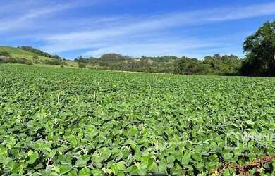 Imagem: O terreno possui 580.800m² de Área e está localizado em