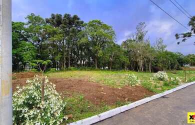 Imagem 3: Terreno para Venda em Nova Petrópolis, Logradouro