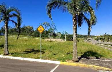 Imagem 6: Terreno localizado em loteamento com infraestrutura completa