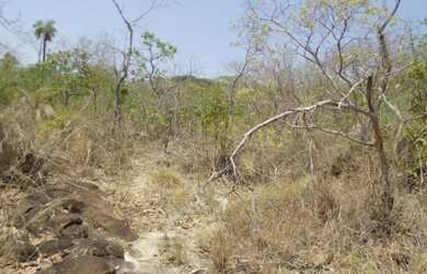 Imagem 6: Chacara em Jussara/GO. 52.423m² de Área