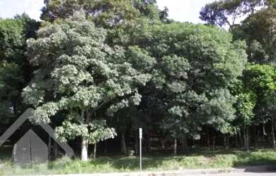 Imagem: O terreno possui 3121m² de Área e está localizado em Cruzeiro