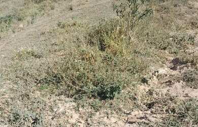 Imagem 11: Vende se um terreno no pouso alegre