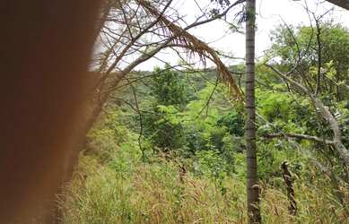 Imagem 8: Chácara em Aragoiania. 