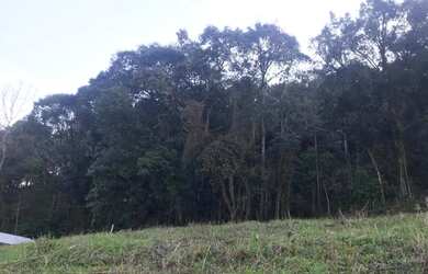 Imagem 5: Terreno Planalto Caxias do Sul