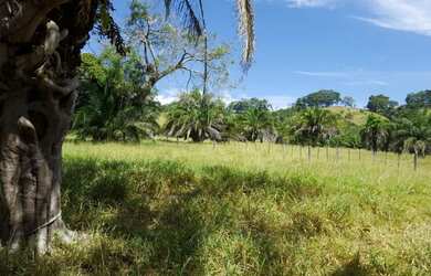 Imagem: A fazenda possui 275m² de Área e está localizado em Morrinhos