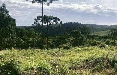 Imagem: A fazenda possui 20.000m² de Área e está localizado em Bocaiúva