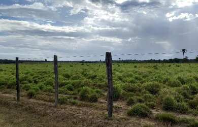 Imagem 10: R$ 20 milhões 1107 hectares pronta e 100 documentada aceita 50 de entrada