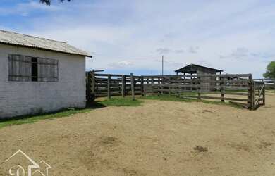 Imagem 16: Santana da Boa Vista - Fazenda - Zona rural