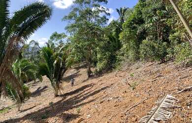 Imagem 13: Vendo Terreno em Santa Teresa - Vista Mais Bonita do Caravaggio - 33mil...