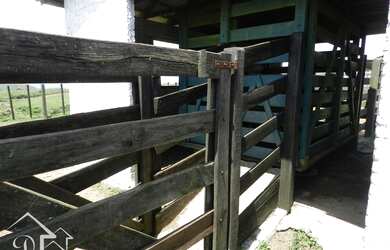 Imagem 15: Santana da Boa Vista - Fazenda - Zona rural