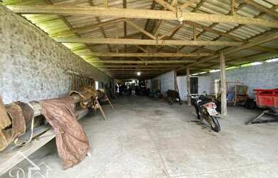 Imagem 12: Santana da Boa Vista - Fazenda - Zona rural