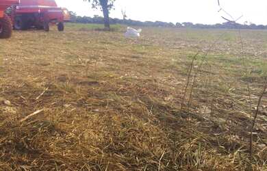 Imagem: A fazenda possui 25m² de Área e está localizado em Centro