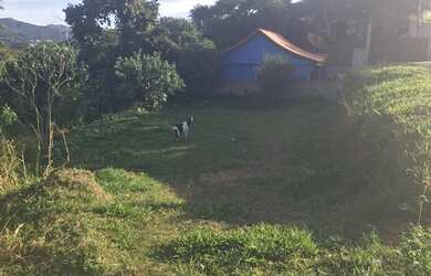 Imagem: O terreno possui 990m² de Área e está localizado em Paty