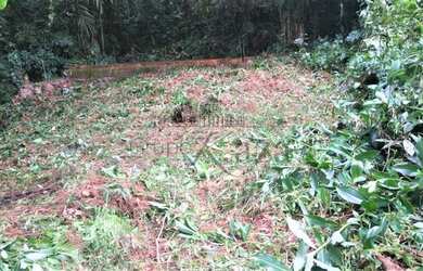 Imagem 10: Caraguatatuba - Loteamento/Condomínio - Park Imperial