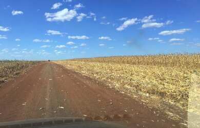 Imagem 12: Fazenda em Divinopolis. Lavoura