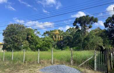 Imagem: O terreno está localizado em Santa Felicidade, Curitiba à