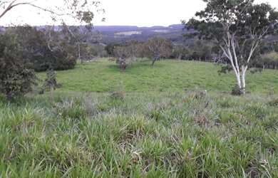 Imagem 3: Fazenda 6,8 Alqueires - Casa - 59 km de Palmas - Água por Gravidade