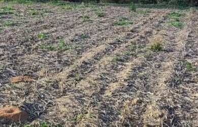 Imagem: O terreno possui 700m² de Área e está localizado em Estância