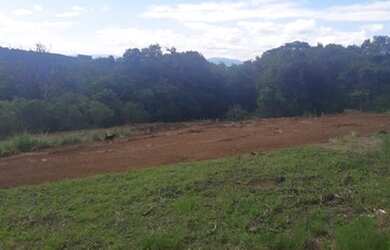 Imagem 15: Sítio para Venda em Taquara, Fazenda Fialho