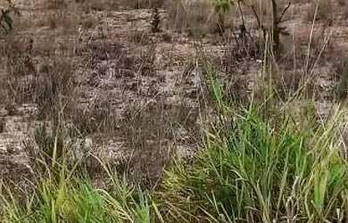 Imagem 5: Lote em Três Marias. 200m² de Área