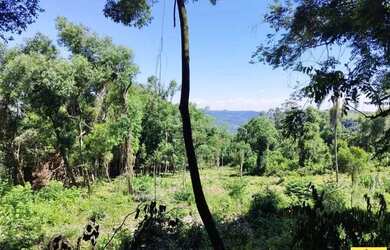 Imagem 8: Sítio / Chácara para Venda em Nova Petrópolis, Linha Olinda