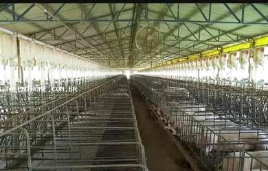 Imagem 2: Área Rural para Venda em Ouro Verde do Oeste