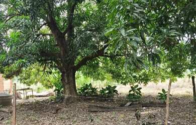 Imagem: O terreno possui 708m² de Área e está localizado em Pedra