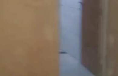 Imagem 5: ALUGA-SE KITNET DA BETÂNIA