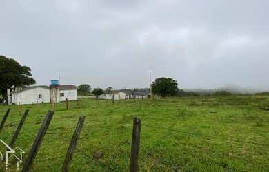 Imagem 6: Santana da Boa Vista - Fazenda - Zona rural