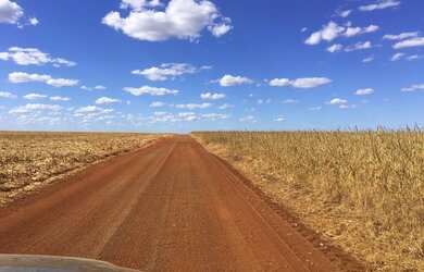 Imagem 6: Fazenda em Divinopolis. Lavoura