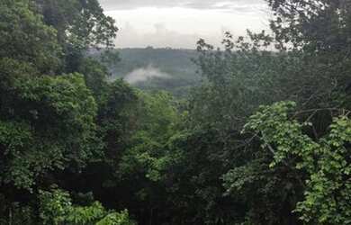 Imagem: O terreno possui 1.000m² de Área e está localizado em Paudalho