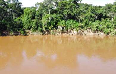Imagem 5: Vendo Pesqueiro beira Rio Aquidauana 4 he