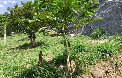 Imagem 11: Casinha fofinha. Varanda, 63m² de Área, 1 Banheiroe2 Dormitórios