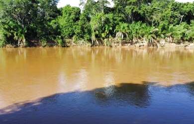 Imagem 14: Vendo Pesqueiro beira Rio Aquidauana 4 he
