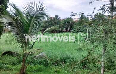 Imagem 13: Venda Lote-Área-Terreno Mussurunga I Salvador