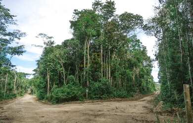 Imagem 4: Porto Seguro - Terreno Padrão - Estrada de Trancoso