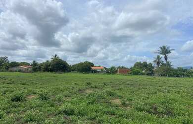 Imagem 4: Tarefas de terra a venda a 20km de Feira de Santana