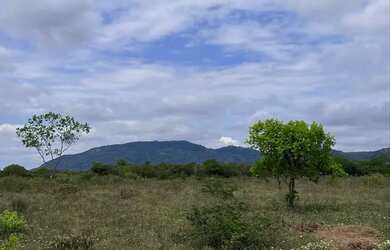 Imagem: O terreno possui 200m² de Área e está localizado em Novo