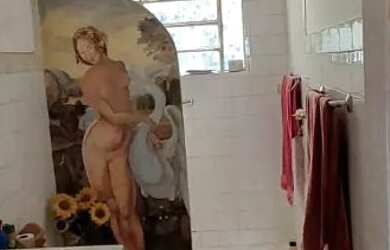 Imagem 8: Casa tipo chácara em Vera Cruz Miguel Pereira RJ