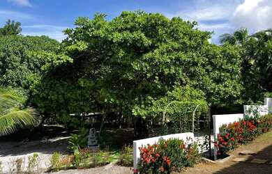 Imagem 13: Cód. 8025 Barra de Jacuípe Casa com 3 suítes Perto do mar com 5 Vagas