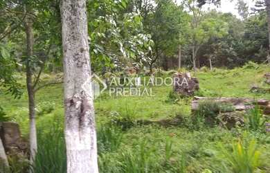 Imagem 12: Chácara no Desvio Rizzo!